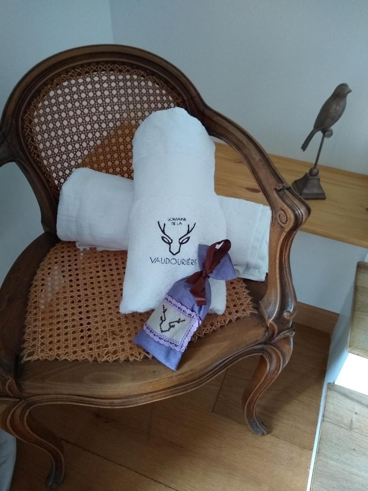 فيلا Domaine De La Vaudouriere Lunay الغرفة الصورة